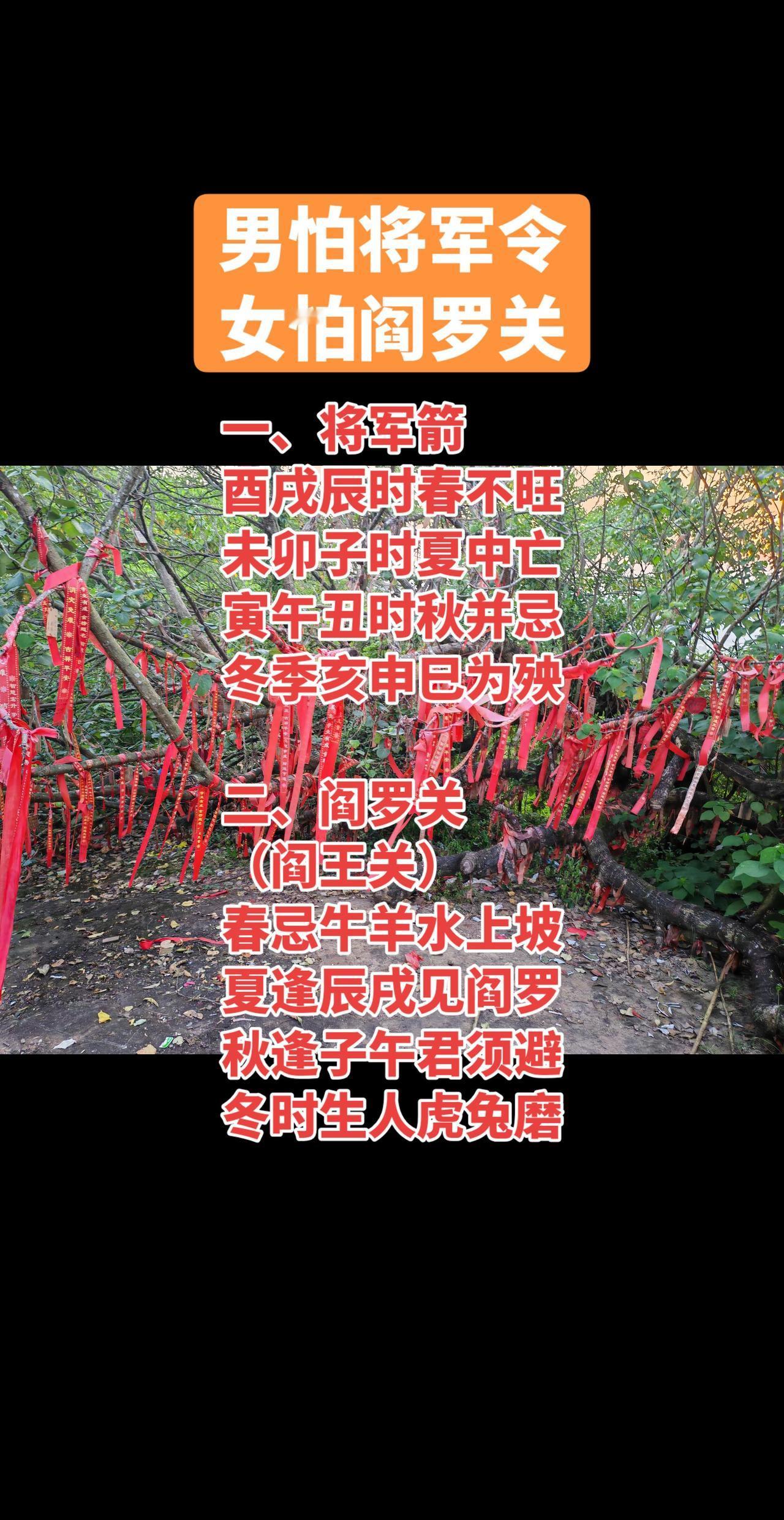 传统文化 情感 婚姻