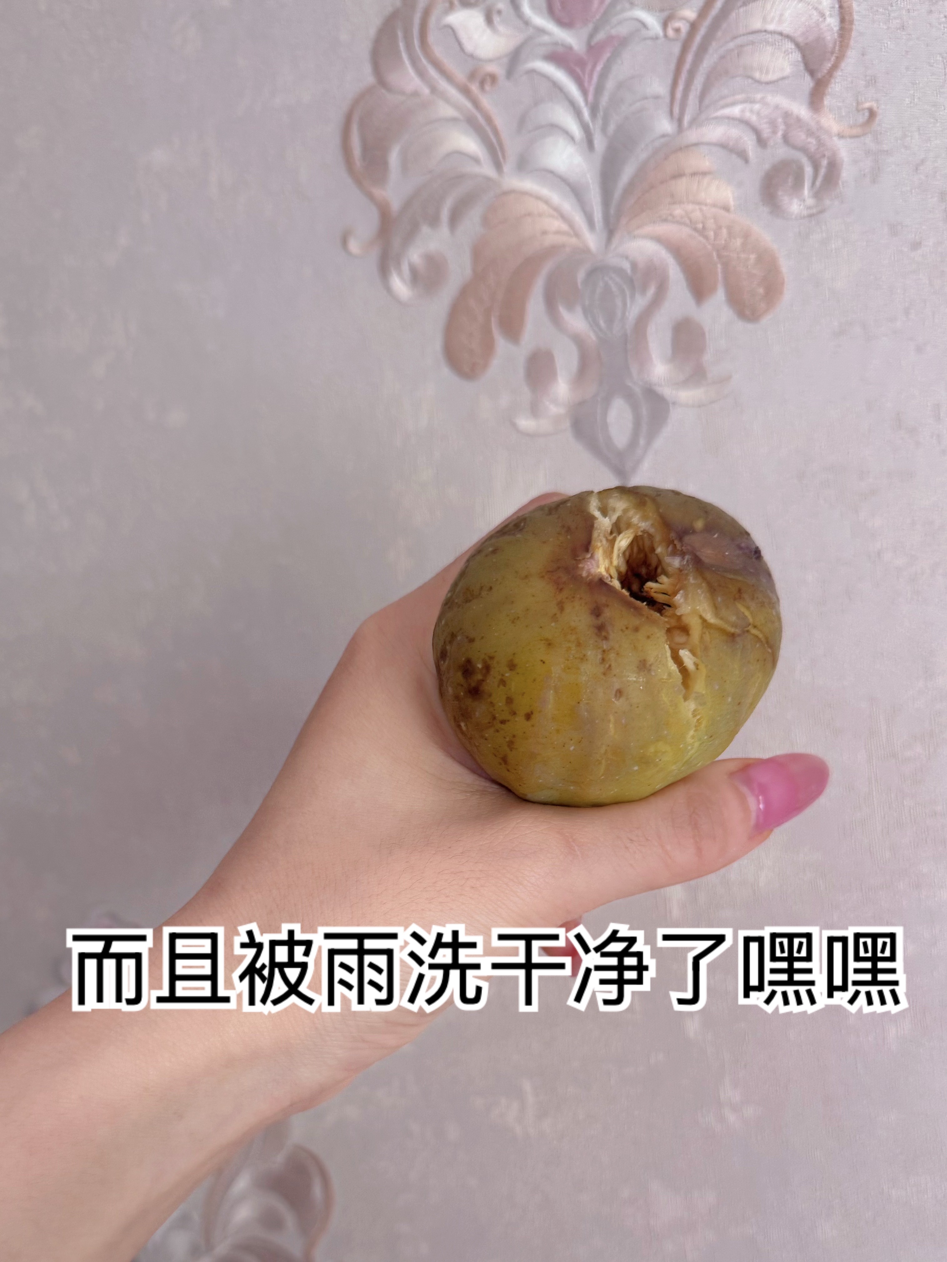 其实现在是两茬无花果中间的空窗期 但偏偏在我要离开之际 突然熟了一个 好甜好甜完