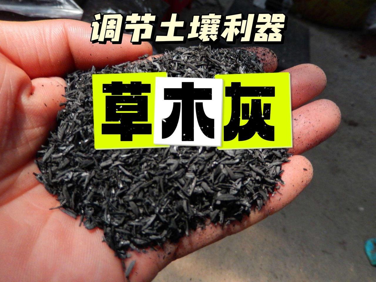 草木灰如何调土？最后告诉大家如何获得安全的草木灰方法！这不，我昨天刚和大家聊完生