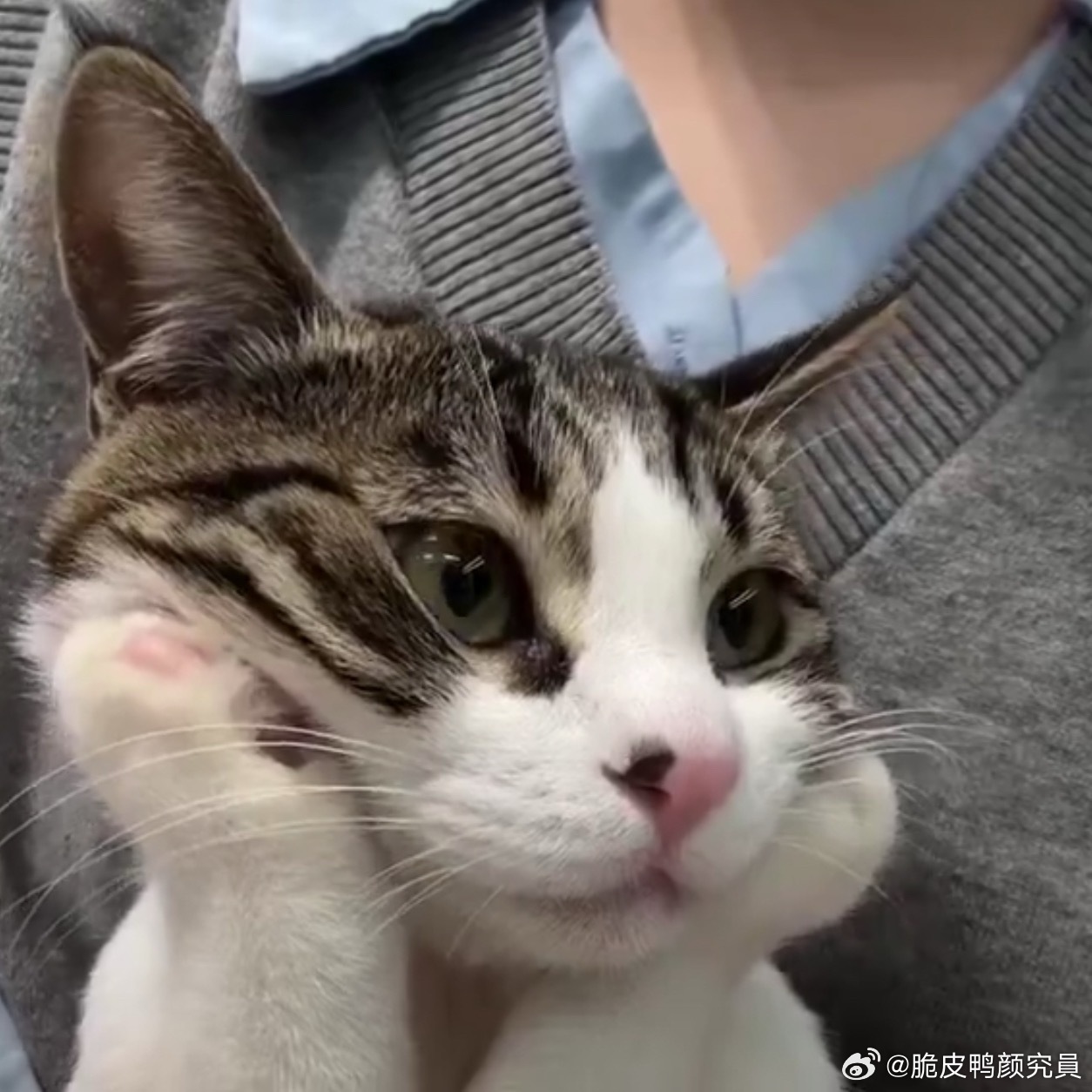分享图片 