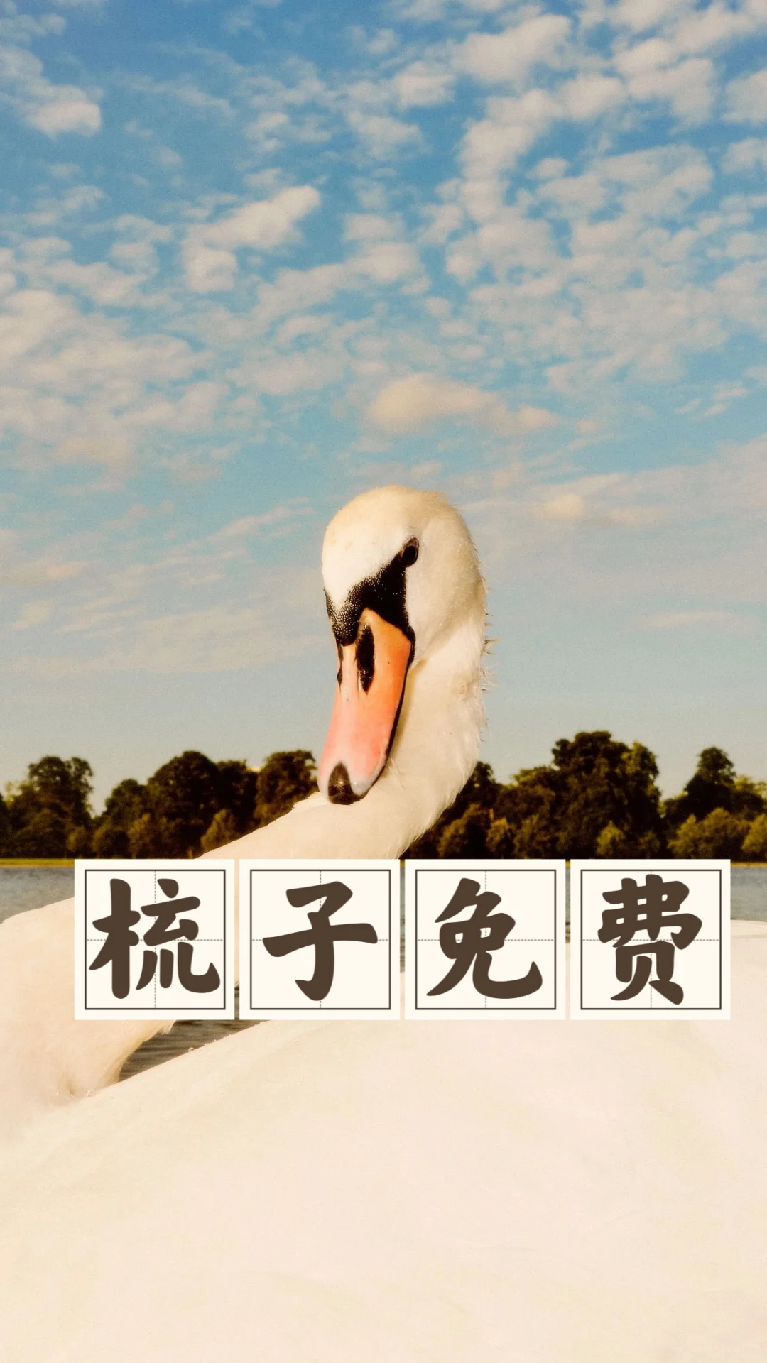 省钱经511:短发不用梳，长发用手指梳