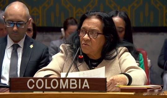 在安理会关于伊朗问题的简报会上，哥伦比亚驻联合国大使莱奥诺尔·萨拉巴塔·托雷斯：