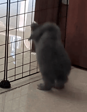 废半天劲以为你要越狱呢