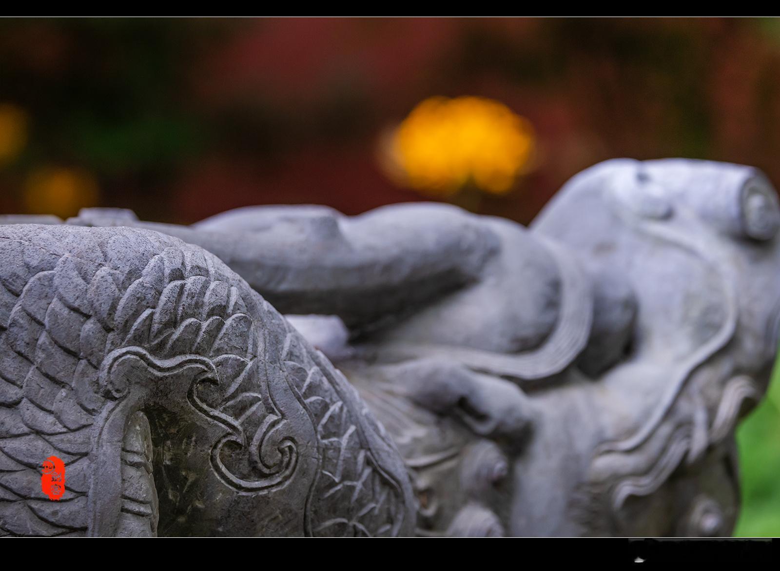 极美南京，明孝陵，彼岸花开   南京读城记你会反复爱上南京我跟南京合个影我还是喜