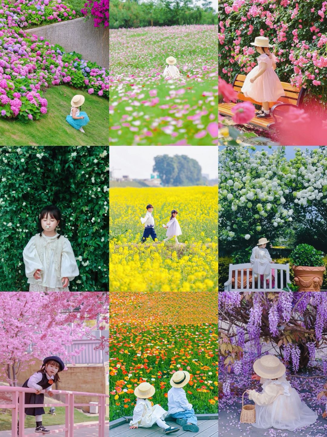花期播报🌼接下来的几个月，成都是这样的….