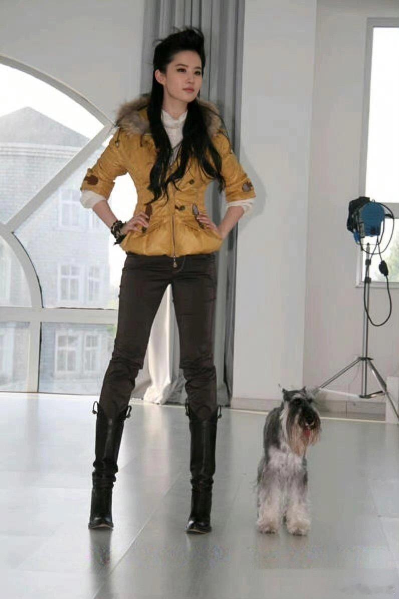 用心良苦的摄影师，为了突出刘亦菲的天仙美貌，让她抱个这么丑的🐶。 