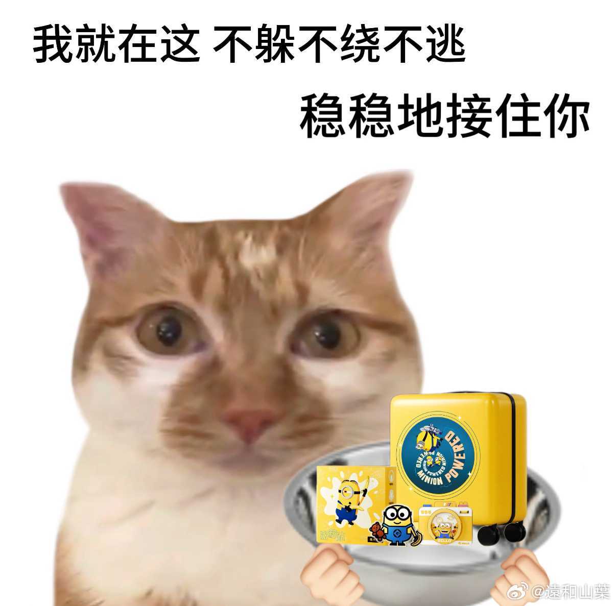 香蕉是世界上最善良的水果我家已经变成小黄人之家了，各有一个小黄人周边哈哈。冰箱贴