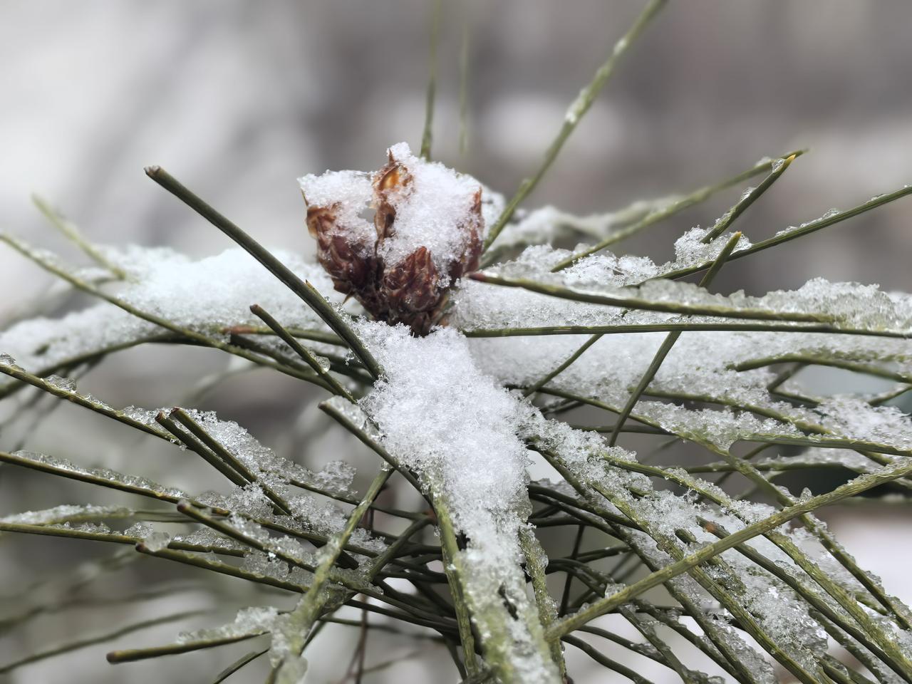 软件生产的革命，将来孩子在学计算机、金融法律的时候一定要注意了，慎重，这些工作很