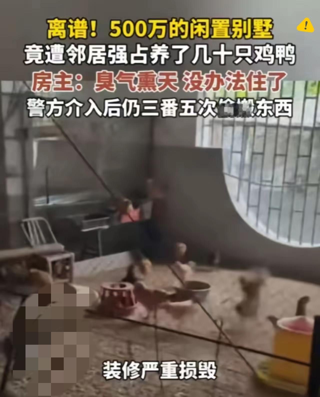 “这哪是邻居，分明是没了规矩的‘强盗’！”
福建大哥祭祖撞见闲置别墅变鸡舍，
客