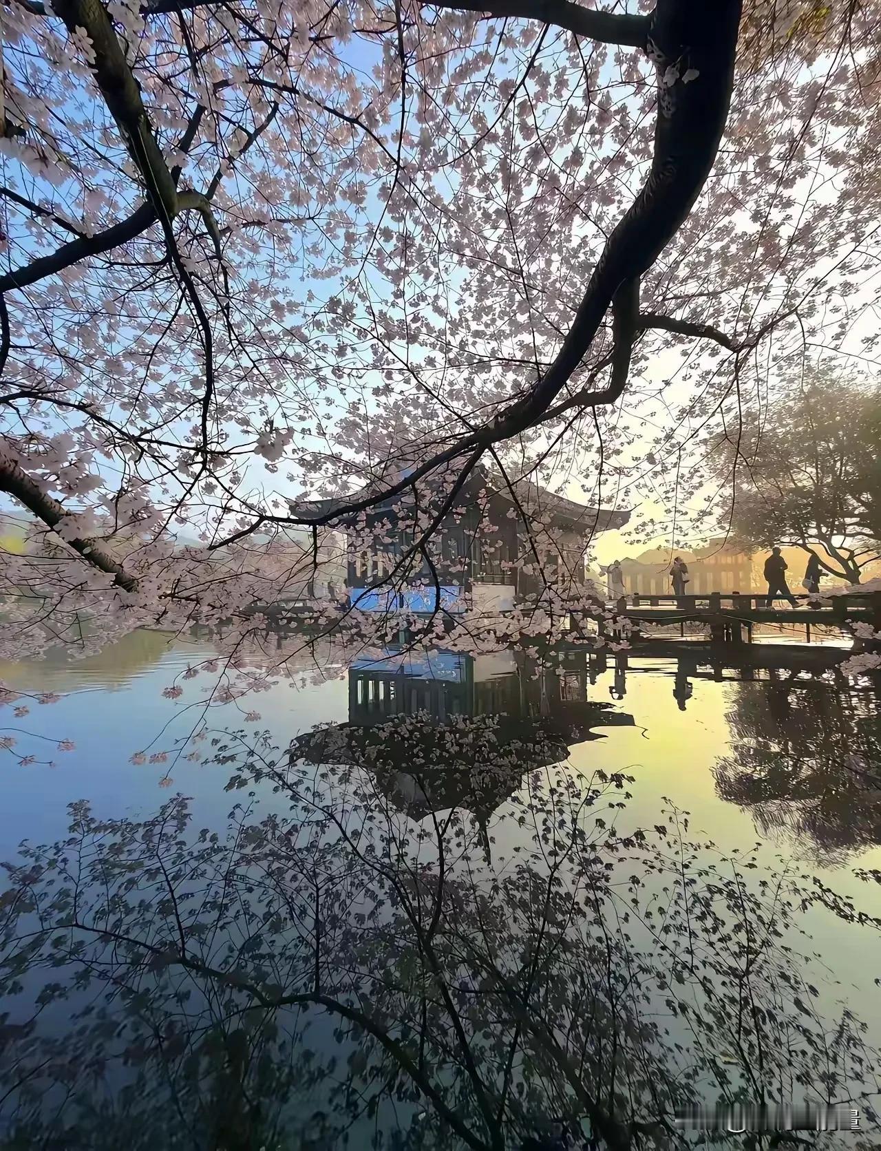 人这一辈子，这三件事一定要低调
越聪明的人，越懂得藏拙；越有福气的人，越不会张扬