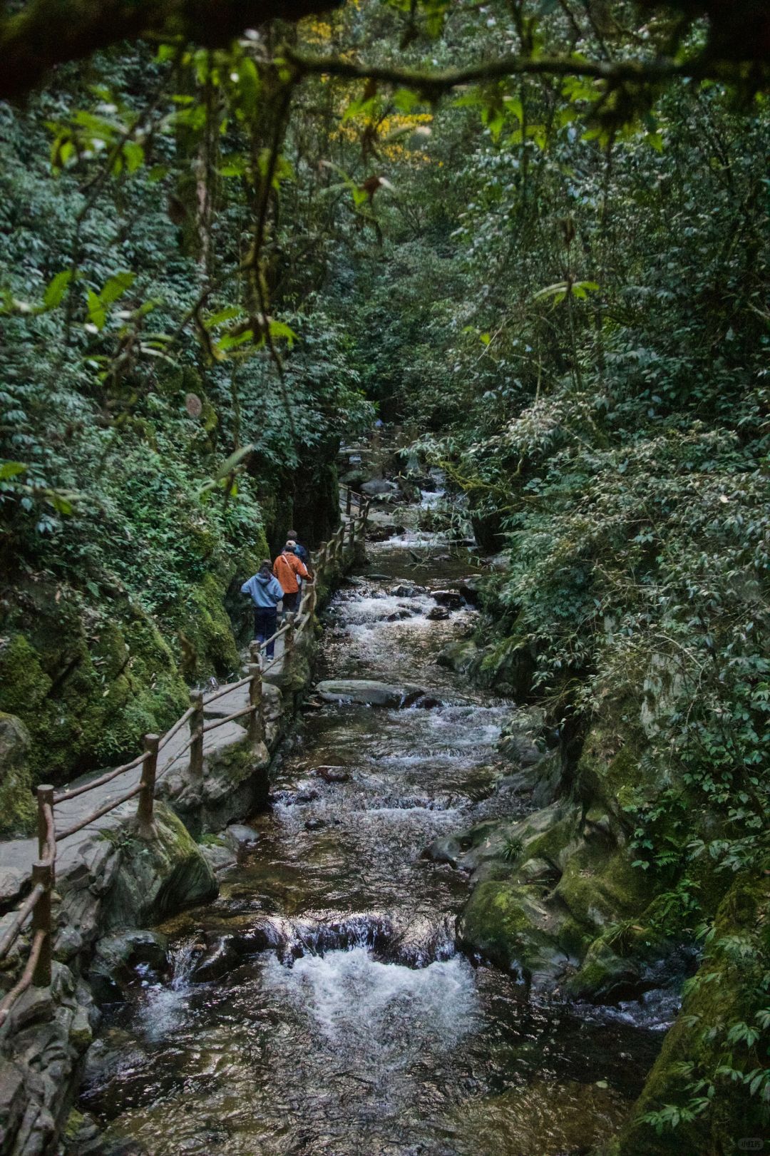 昆明周边｜玉溪云海日出哀牢山徒步𝟮天攻略