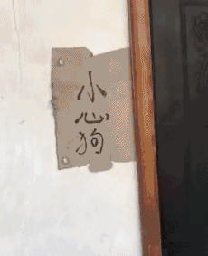 狗子：我就问你怕不怕 