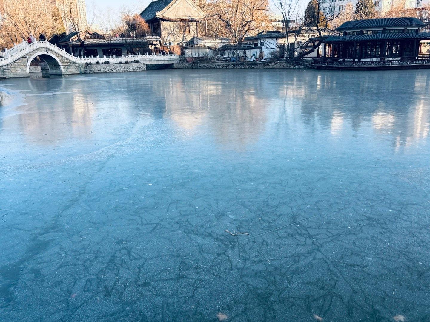 天空中飘起了雪花❄️天津下雪 点赞天津 天津·人民公园