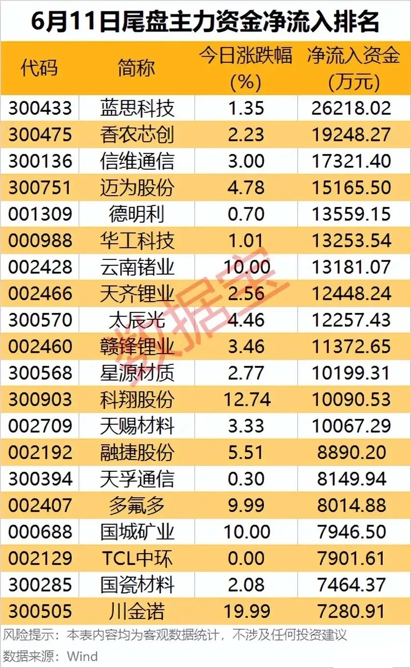 尾盘资金突袭！6.11净流入TOP20拆解：低位赛道与主线龙头共振抢筹！6月11