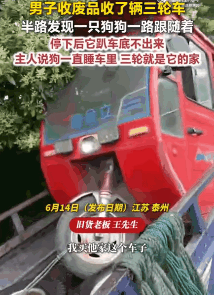 “破防了！”江苏，一男子收了辆旧三轮，刚上路就发现身后多了个“小跟屁虫”。狗狗一