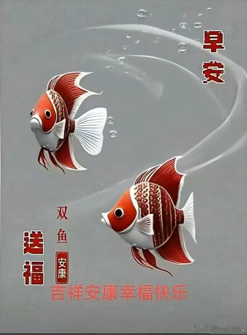 今天周二，大家早上好！全体集合了～～～起床的赶紧动起来，免费点赞+评论666安排