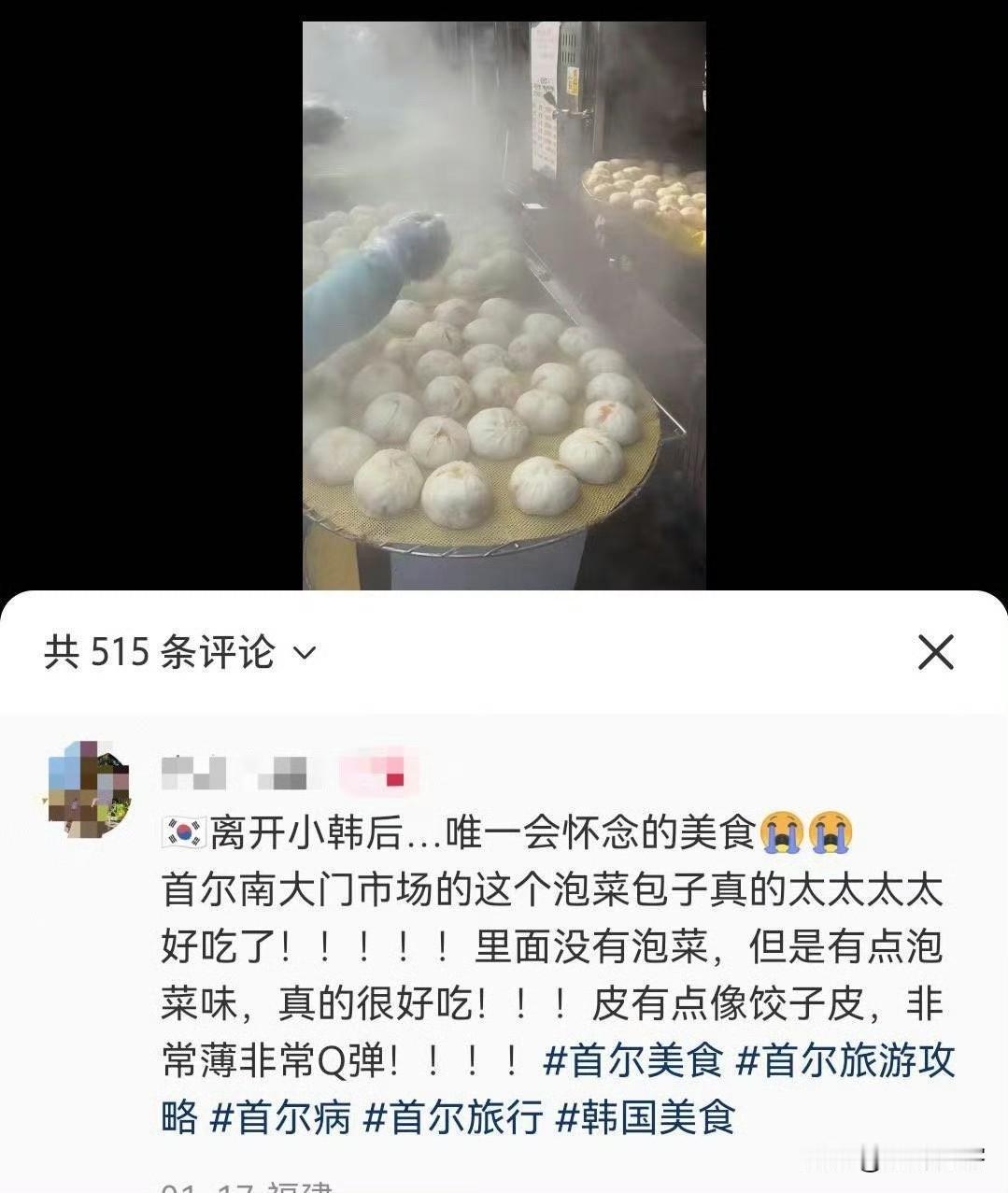 哈哈哈哈哈，韩国棒子听说过，韩国包子很出名吗？特别是这个韩国泡菜包子里，没有泡菜