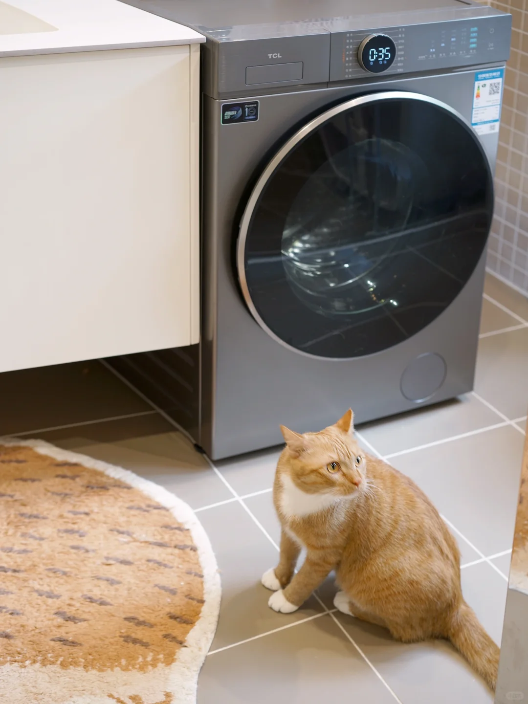 真的没人看到「宠物洗衣机」的商机吗？