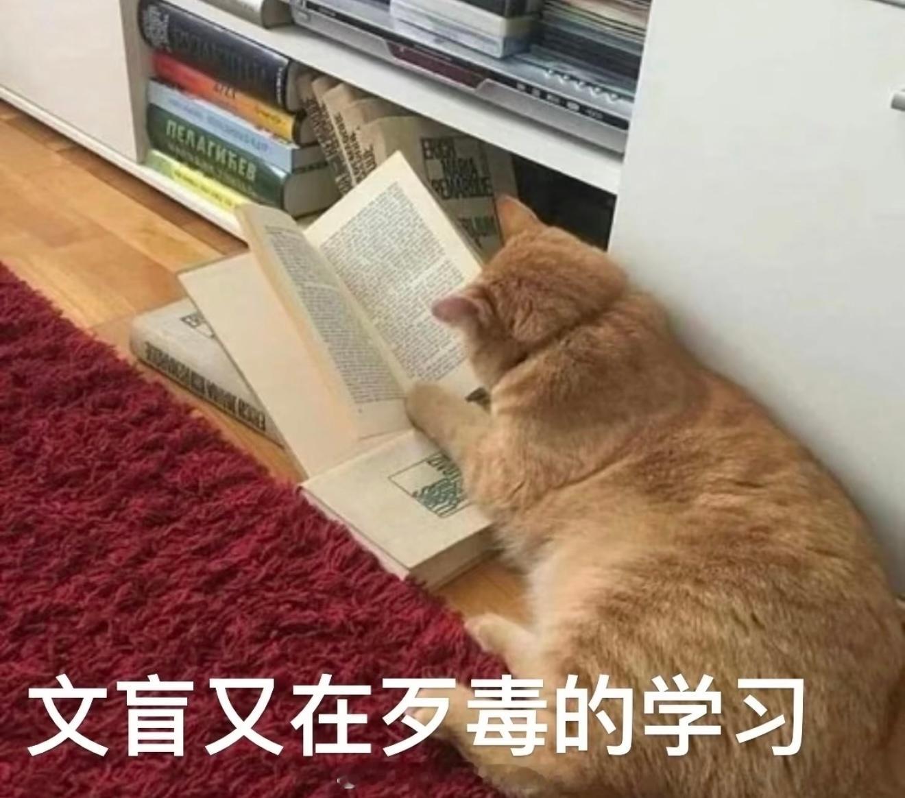 旅行居住 eight 字之陕甘青宁～陕西省：喜火木土可以去西安：喜水木可以去宝鸡