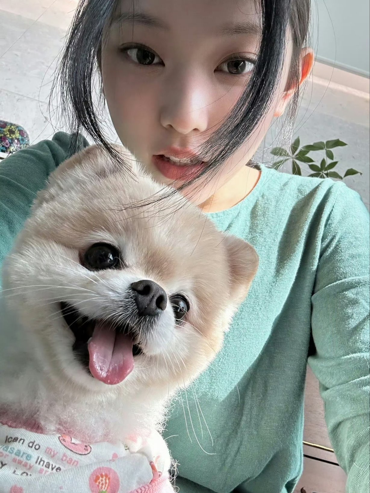 哦莫原来banggeul也是今天生日 