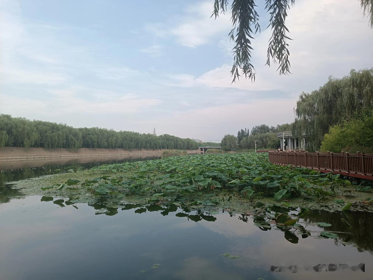 最宝贵的教育不在课堂上，而是和孩子一块儿蹲下，观察一只蜗牛、辨认一颗松果的那一瞬