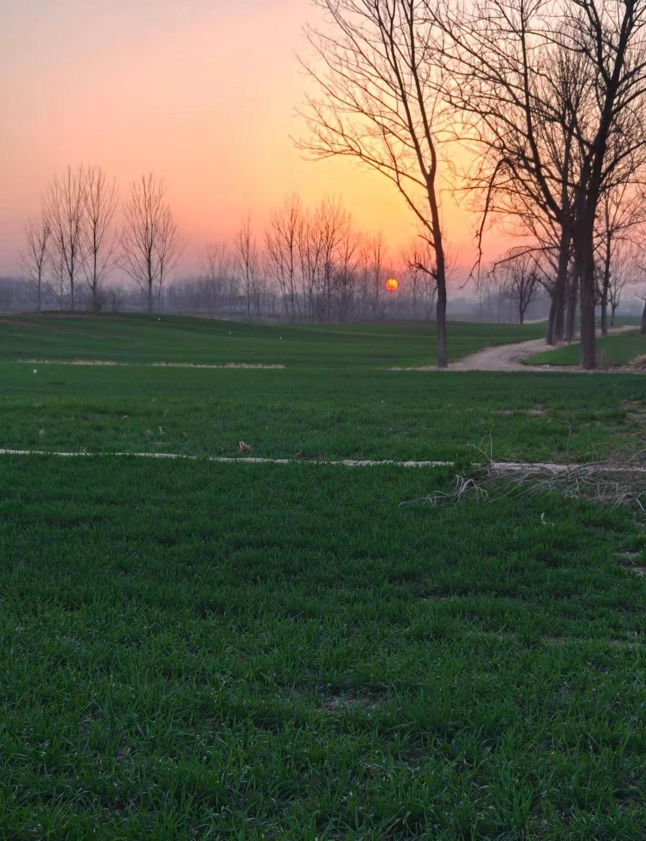 我有空再回来，回来是否真的有空？欲买桂花同载酒，终不是少年游。记录家乡美景