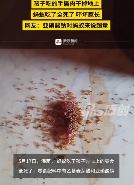 海南一孩子在家吃零食，随手掉落的一小块，家长随后发现，那些闻味而来偷吃的蚂蚁，在