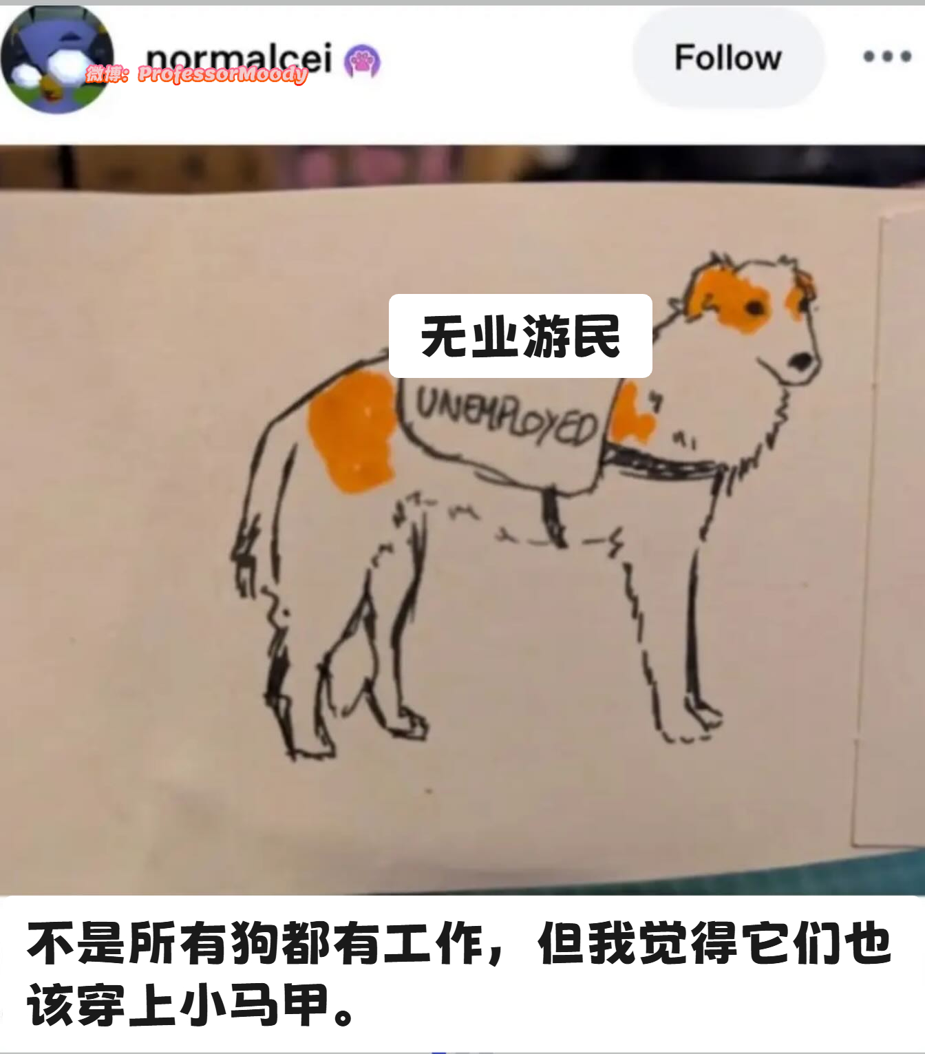 建议推广👍meme ​​​