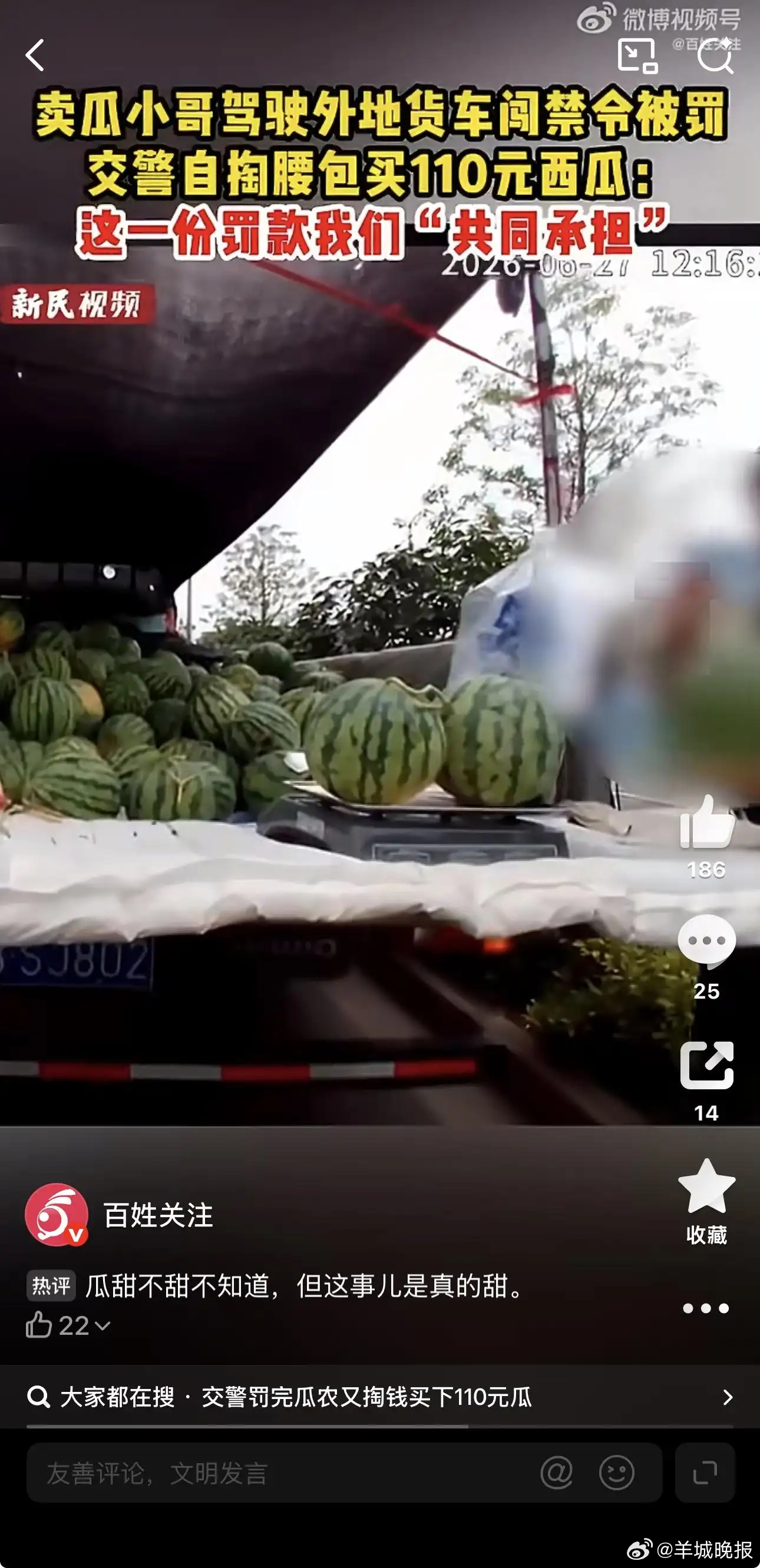 【罚完款再买瓜，既有尺度又有温度 | #街谈巷议#】一名河南的瓜农，开了一天一夜
