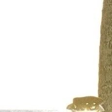 翻开衣柜一瞧，去年称心的，今年竟不合身了。许是衣服缩了水，又许是我阔了些，横竖是