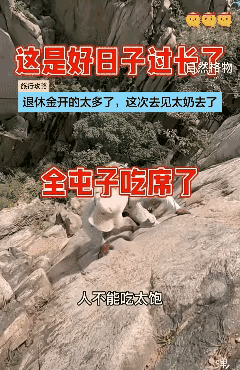 大姐终于为自己的“无畏”付出了代价。
但是，这样的付出太没有价值了。
即便你今天