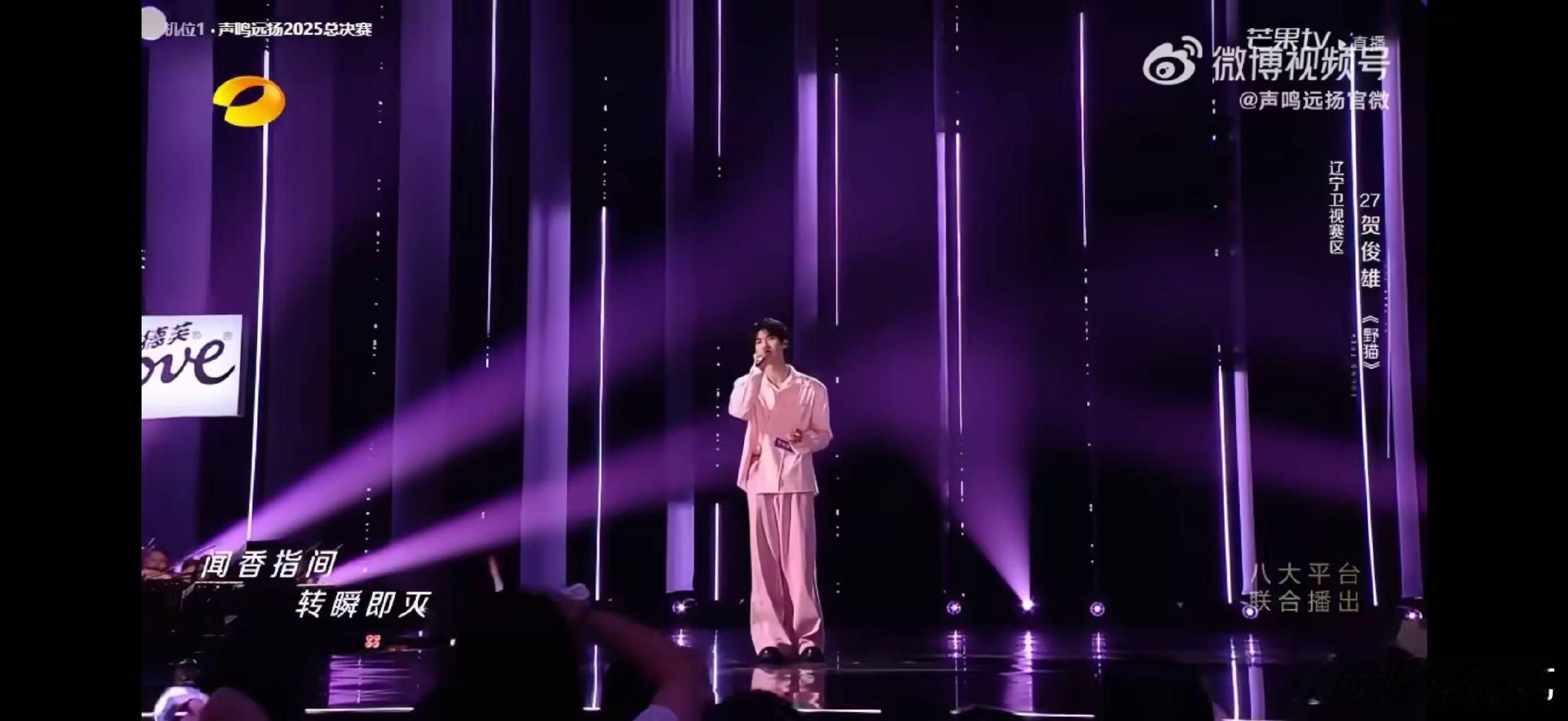 《野猫》的旋律像被雨打湿的窗棂，贺俊雄用歌声把朦胧的愁绪唱成清晰的诗行。 