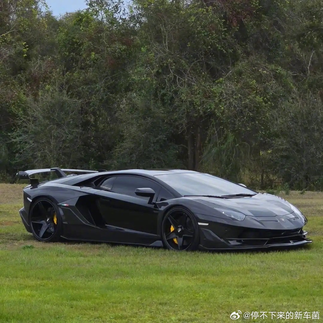 兰博基尼AVENTADOR Forgiato Maglia-ECL，24k纯帅了