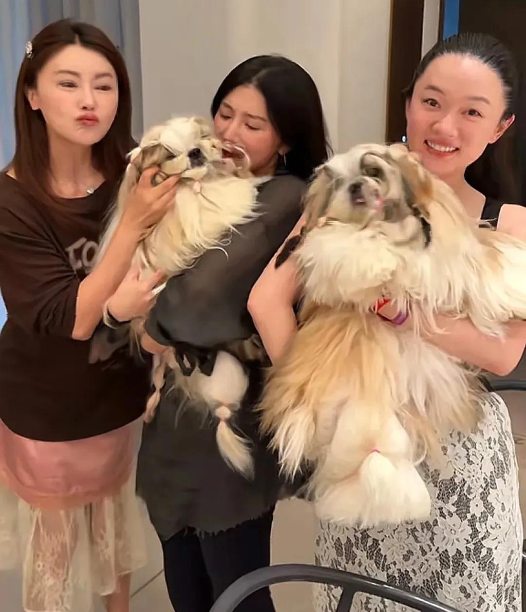 霍思燕如今跟杜江真的是越来越相似了，跟熊乃瑾等一起聚会，不知道的还以为是女版杜江
