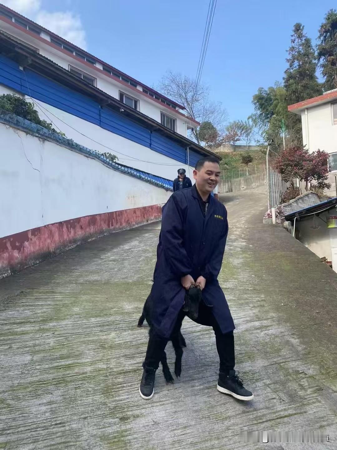 瘦弱羊怎么喂胖的快?瘦弱羊催肥先驱虫健胃，再科学搭配饲料。先做体内外驱虫，灌服健