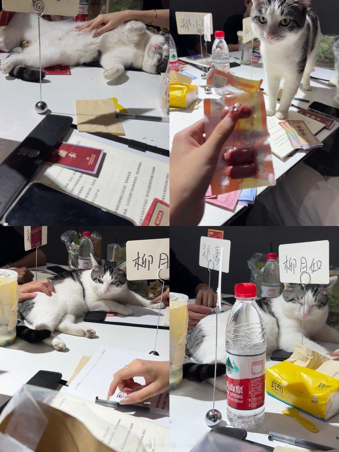 不过是开学第一天就30个小时没合眼[开学季]  ​​​