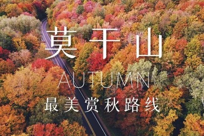 上海出发，12.13日徒步五彩斑斓莫干山
📍杭州 
谁懂啊！🍂 莫干山的晚秋
