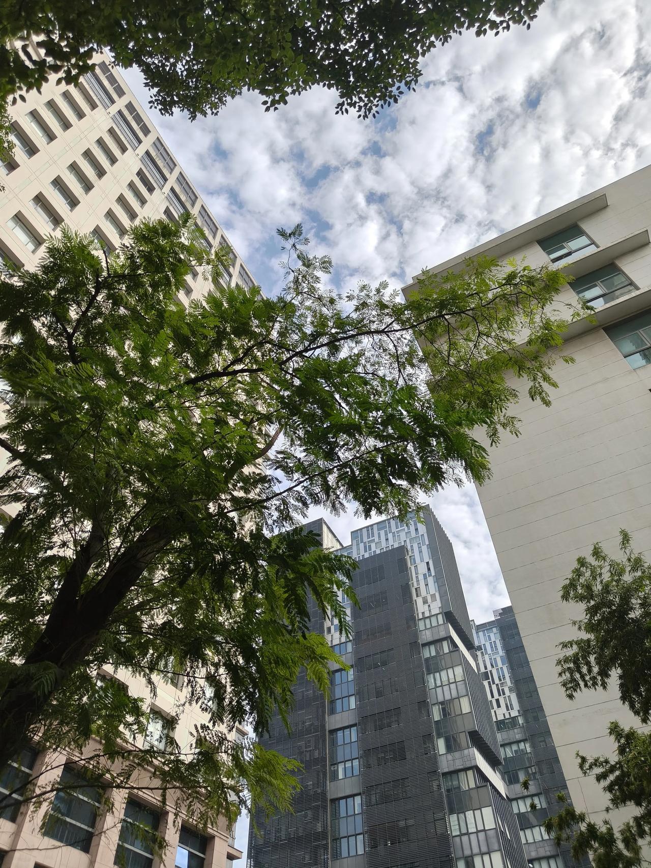 冬日午间随手拍实景图分享！

今天的云彩不错！

这两天好像都有点雾霾😷