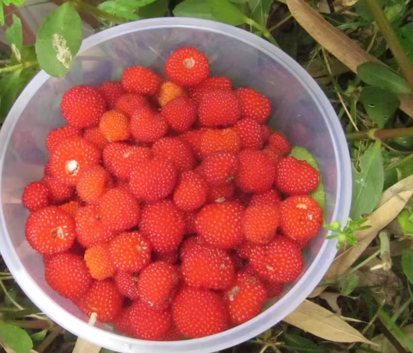 人的一生,有什么真正属于你?

时光如流水，财富会散尽，名声会消逝，连至亲至爱也