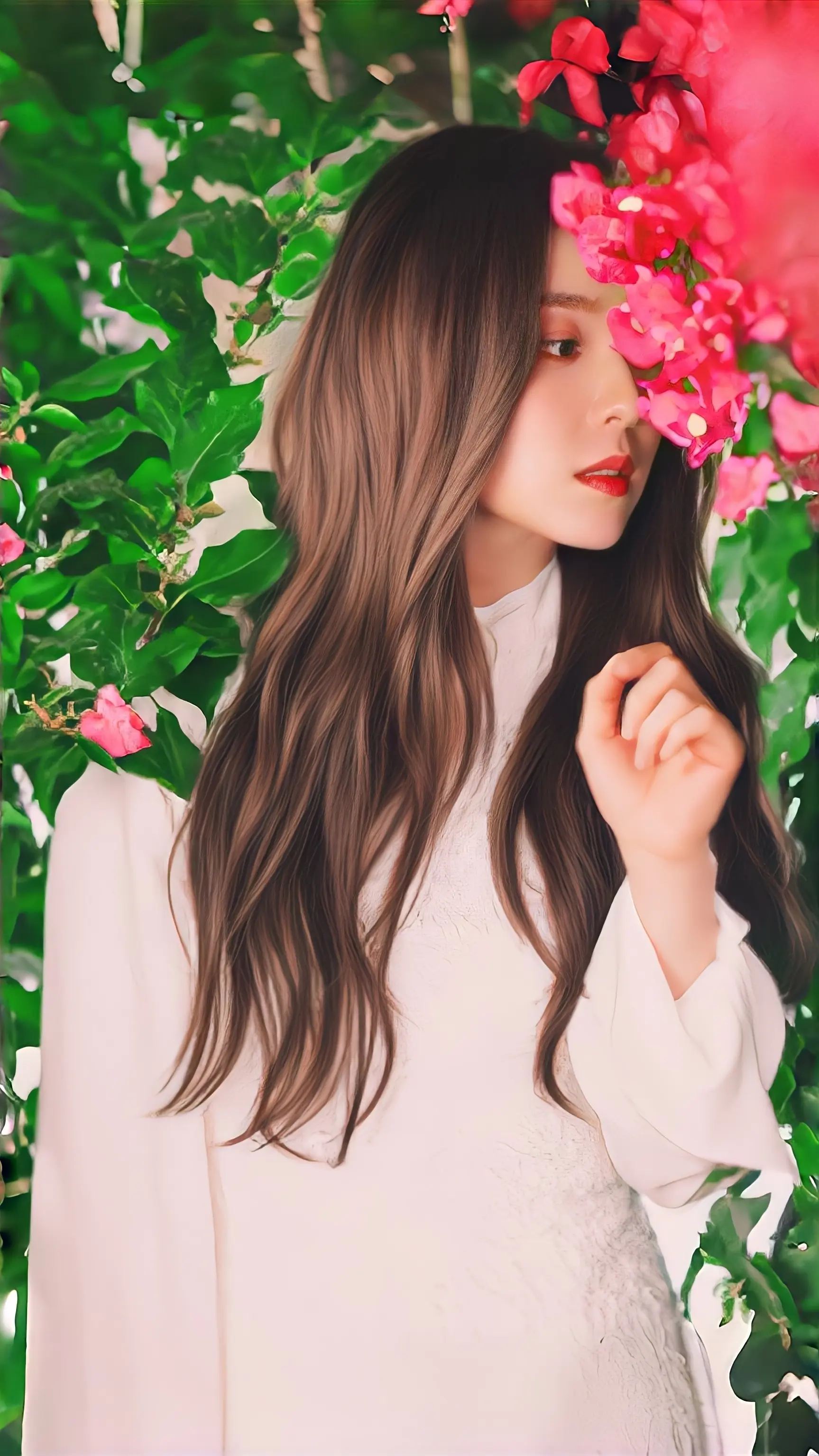 裴珠泫 小清新治愈系 唯美 壁纸