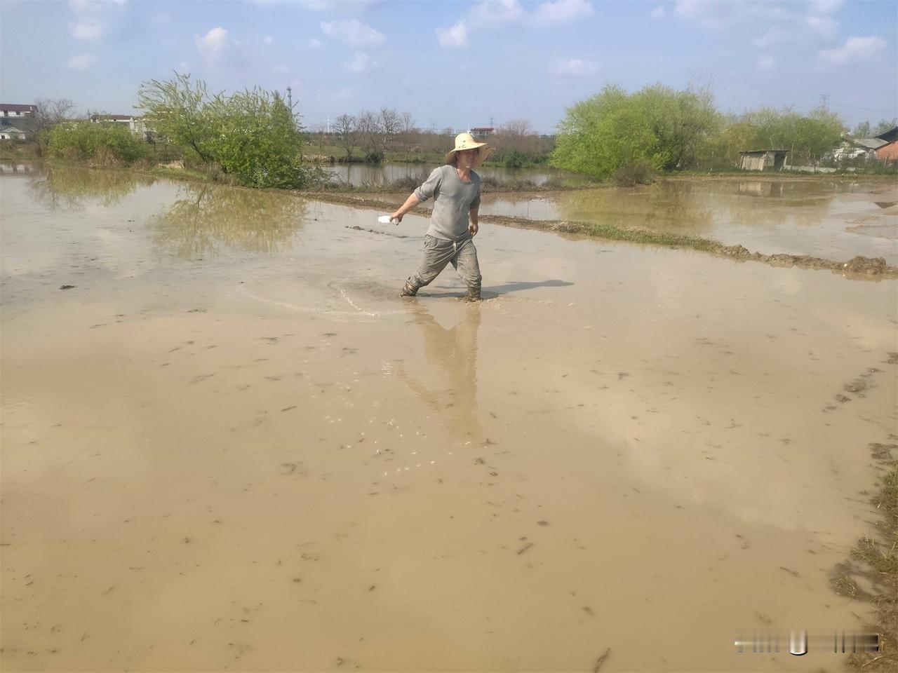 【行业观察】网购农资靠不靠谱？网购农资不仅仅是比拼价格，更重要的还是要有专业的技