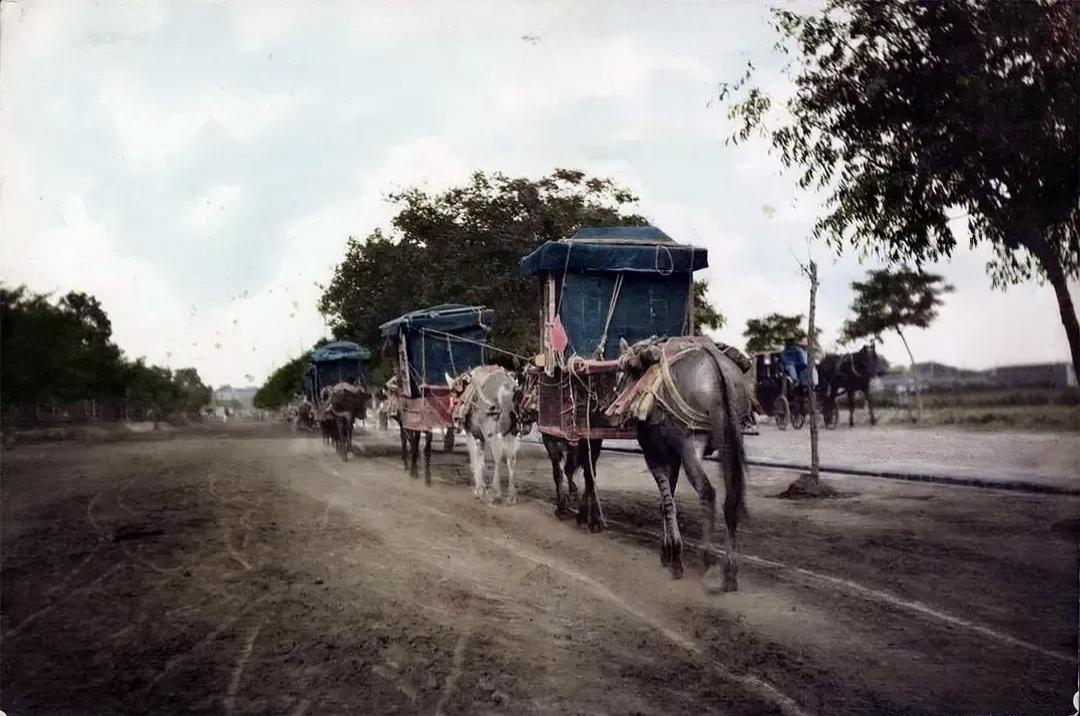 历史老照片分享见过人抬轿子，第一次看到这种“马抬轿子”！