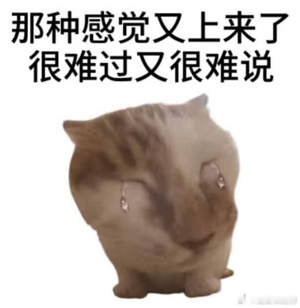 （突然诈尸）寸不已这段时间一直在忙毕业和兼职的事有点消极怠工惹[苦涩][苦涩] 