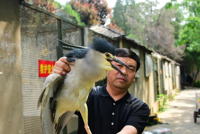 消防与动保联手施救 2025年的动物救助事件不少，像浙江就有消防与动保联手救国家