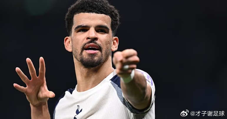 据《邮报》的消息，热刺前锋索兰克已经成为纽卡斯尔在今年夏天潜在的引援目标。据悉，