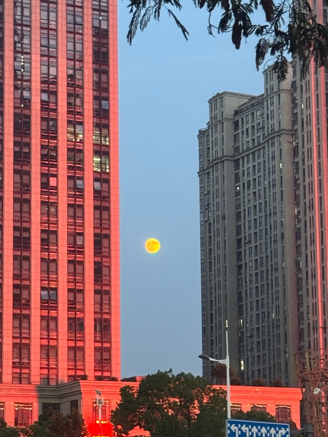 这算血月吗[可怜] ​​​
