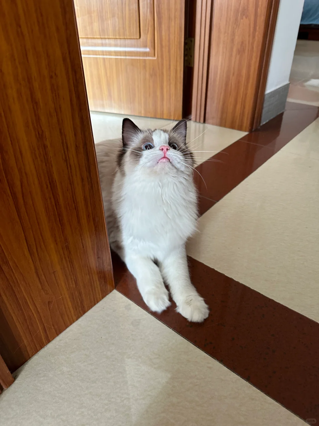 你的小嘴看着很好亲