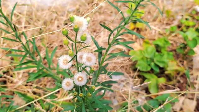 风是我爱你的样子  ​​​