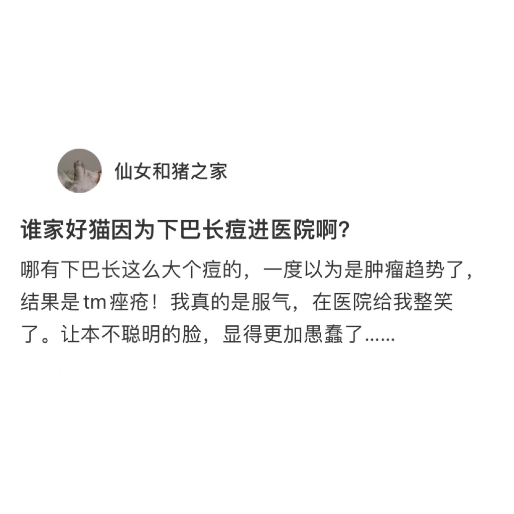好神奇，原来猫咪也会长痘痘[收到] ​​​