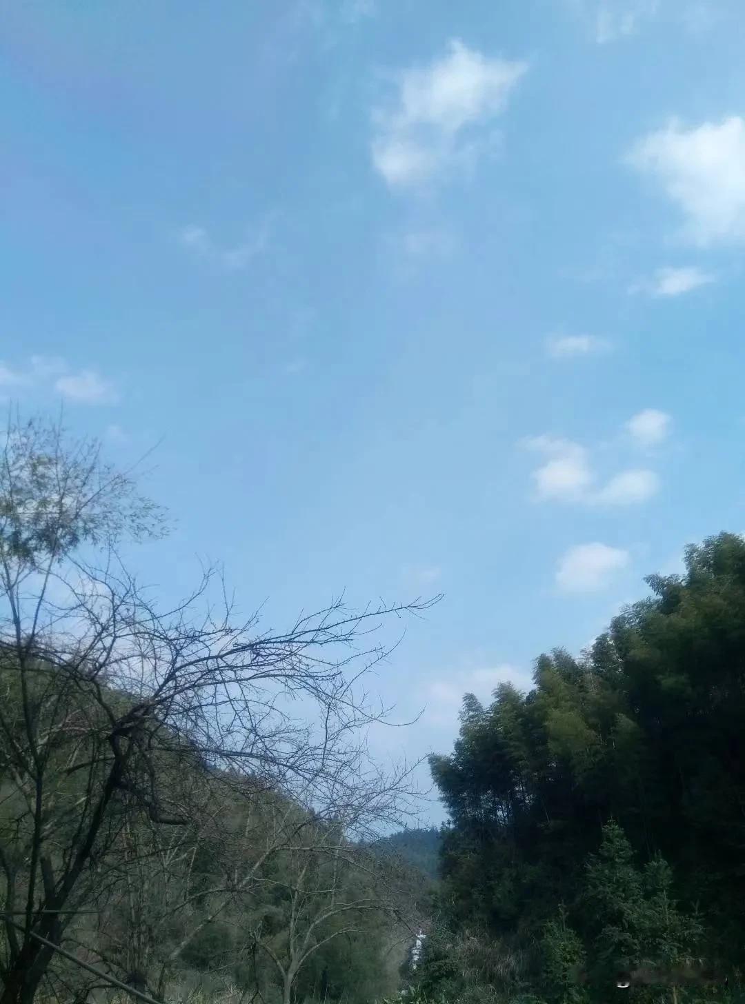 这张或许看着平平无奇的照片
确是内心深处的眷恋
多年来，微信、QQ，头像一直未改